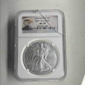 2014 Silver Eagle Coin in Protective Case